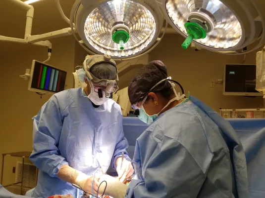 How a Medical Malpractice Lawyer Handles Your Case