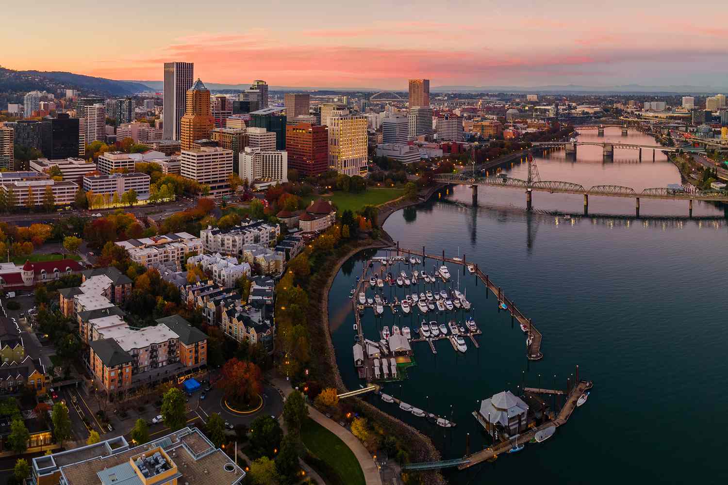 Common Causes of Car Accidents in Portland and How an Attorney Helps